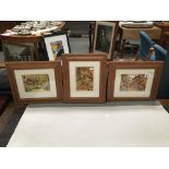 A set of 3 framed and glazed late Victorian watercolours of garden scenes signed and dated R.