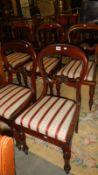 5 mahogany dining chairs.