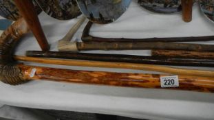 6 horn handled walking sticks including ram's horn.