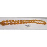 A honey coloured amber bead necklace.