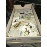 A box of cigarette cards from a variety of manufacturers.