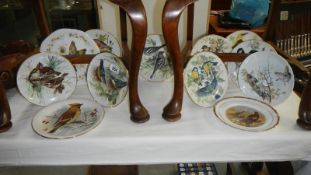 A collection of 12 decorative bird plates