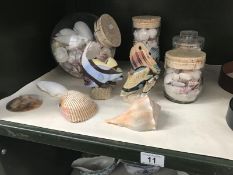 4 jars of sea shells etc.