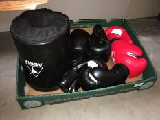 3 pairs of boxing gloves and a round kick boxing protection pad