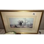 A framed & glazed David Shepherd print