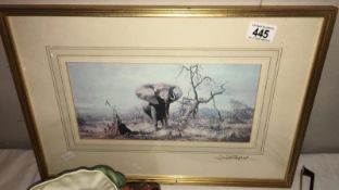 A framed & glazed David Shepherd print