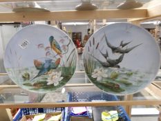 A pair of 19th century wall plaques hand painted with kingfishers and swallows.