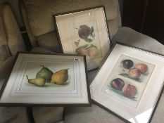 3 still life prints of fruit.