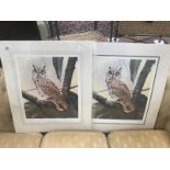 2 John Lewis Fitzgerald owl prints.