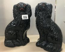 A pair of Victorian black Staffordshire dogs.