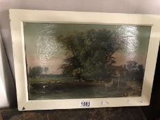 A 19th century oil on canvas tree and cottage by pond, unsigned.