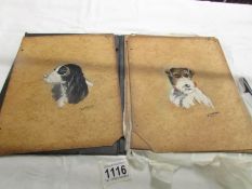 A portfolio of 12 1930's gouache on card paintings including dogs, portraits, flowers etc.