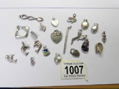 22 silver charms/pendants.