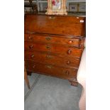 An oak bureau.