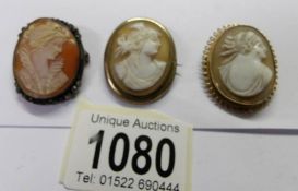 3 shell cameo brooches, 2 of Roman profiles and one female profile.