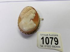 A cameo brooch of female profile in yellow metal mount and with safety chain.