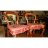 A pair of mahogany chairs.