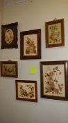 A set of 6 framed and glazed dried flower collages.