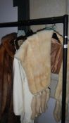 A fur coat, fur stole and one other item.