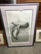 A framed & glazed signed limited edition print from the original drawing of 'Harp seals' by Gary