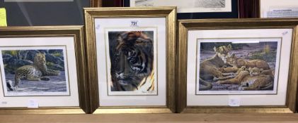3 framed & glazed limited edition 'big cat' prints all signed by the artist Stephen Gayford