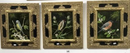 3 ornately framed oil on canvas paintings of wild birds by T. Leighton. Image 18.5cm x 23.