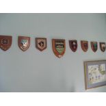 13 military shields