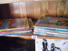 A collection of 23 Asterix books and graphic novels