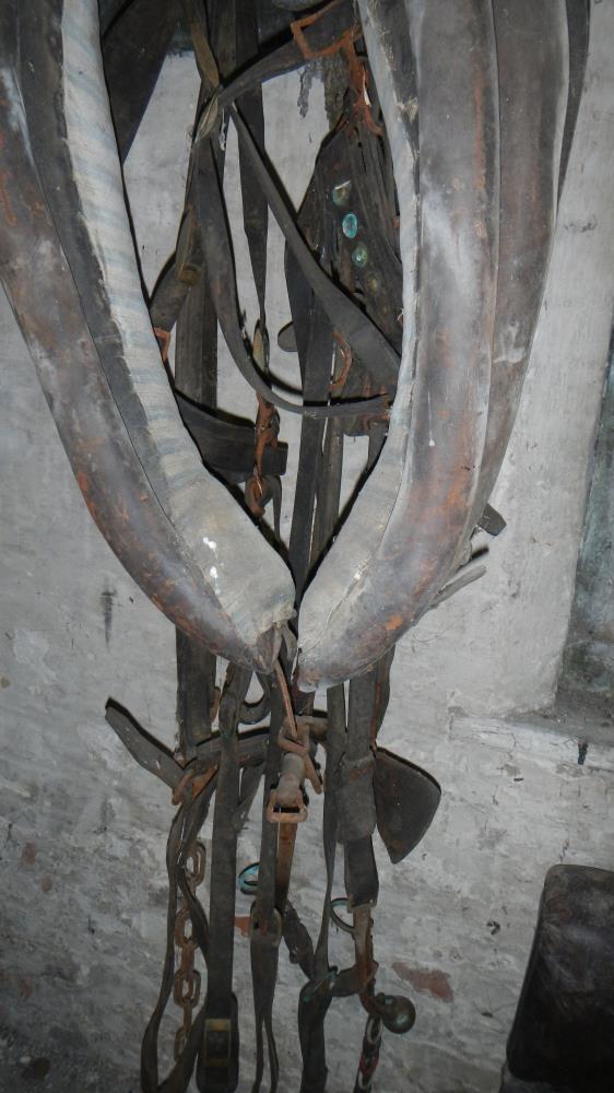 A quantity of horse tack - Image 2 of 3