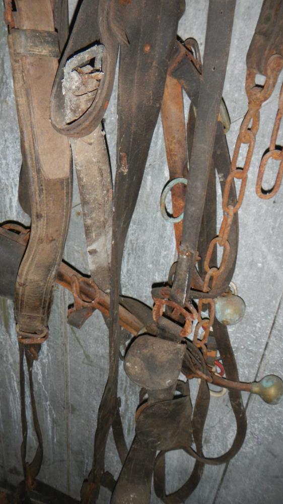 A quantity of horse tack - Image 3 of 3