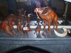 A collection of animal figures including camels etc