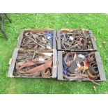 4 boxes of old horse tack.
