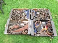 4 boxes of old horse tack.