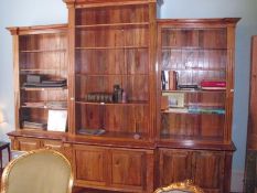 A fine bookcase over cabinet