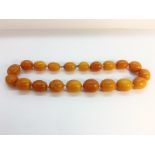 A string of butterscotch amber beads, approximately 18" in length.