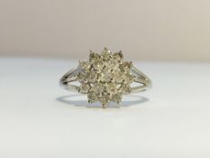 A Diamond Cluster in 9ct white gold, diamond ETCW 0.47 ct. Ring size L, total weight 2.55 grams.