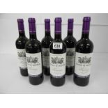 6 bottles of Palacio de Valencia Reserva 2010.