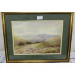 Watercolour “Mountain Landscape with Lavender and Donkey”, 9” x 13”w, green mount, gold frame,