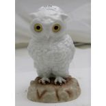 Dresden model of a white Owl, with glass eyes