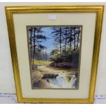 PETER KNUTTEL, “Avondale, Co. Wicklow”, waterfall, 12”w x 15”h, mounted and in a gilt frame