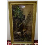 19thC Montage of a Golden Pheasant, comprising an oil painted backdrop with applied feathers and