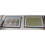 2 Large framed Japanese screen prints, one continuous floral pattern, one pagoda houses in