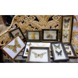 9 framed butterfly collages (some oak frames)