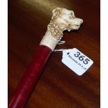 37” length walking stick, ridged like bamboo, with ivory retriever dog’s head