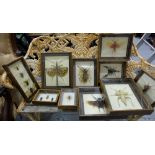 12 framed insect collages (some oak frames)