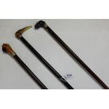 3 x Walking Sticks, 36”, one brass banded with boxer dog head with glass eyes, one Toucan head with