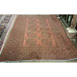 Washed red Afghan double knot Carpet, with a Becarra design 2.35m x 1.52 m