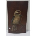 BLUE JAY BIRD – 19thC Oil on an Oak Panel, 48cm x 28cm (formerly in a Swiss hotel), signed M Benham