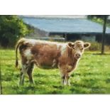 MARK O’NEILL, “Close to Home”, Shorthorn Heifer Calf, Oil on Board, signed and dated 2017, 19 x