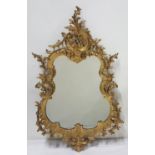 A late 19thC Carved Giltwood Mirror in the Rococo Taste, the pierced asymmetrical frame with